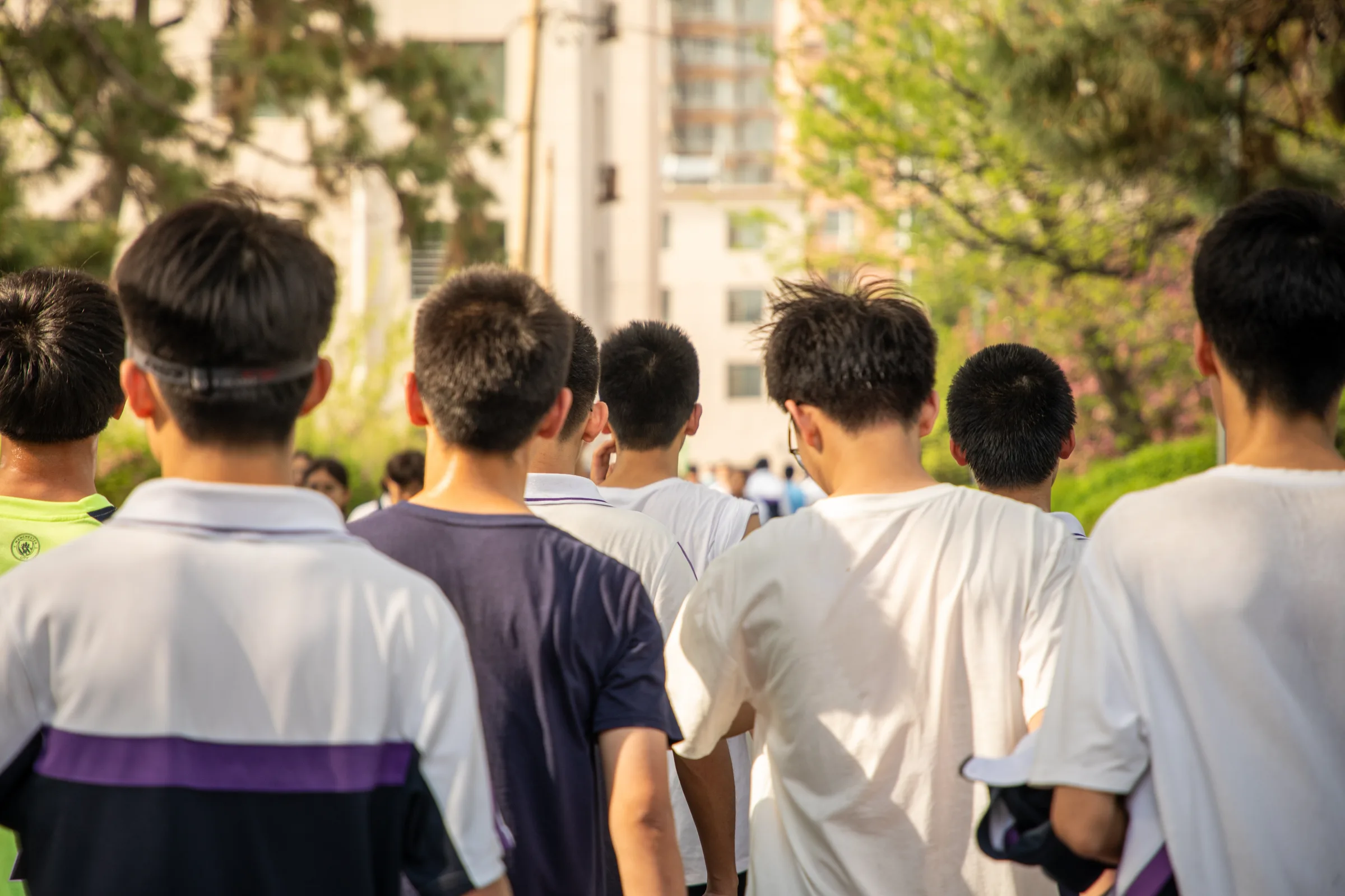 几位学生从背后沿着树下小路慢慢往前走