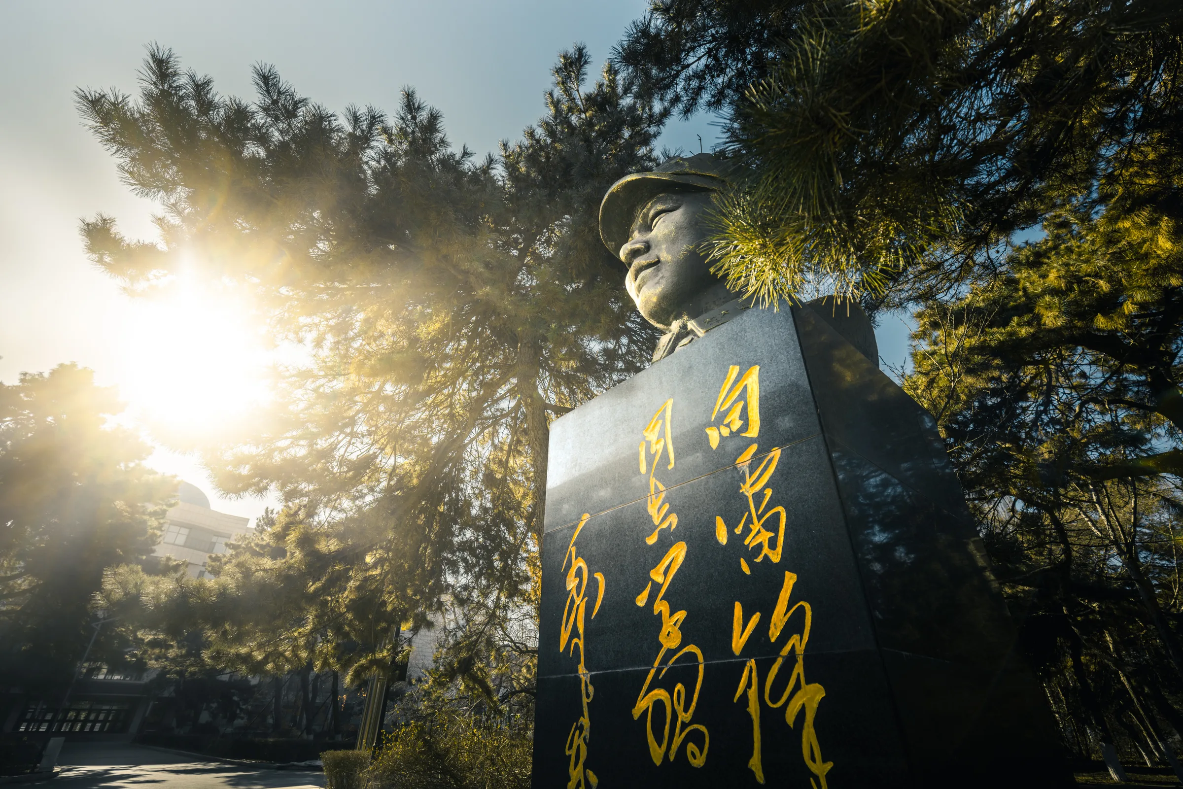 雷锋雕像在松枝与逆光之间望向校园一侧