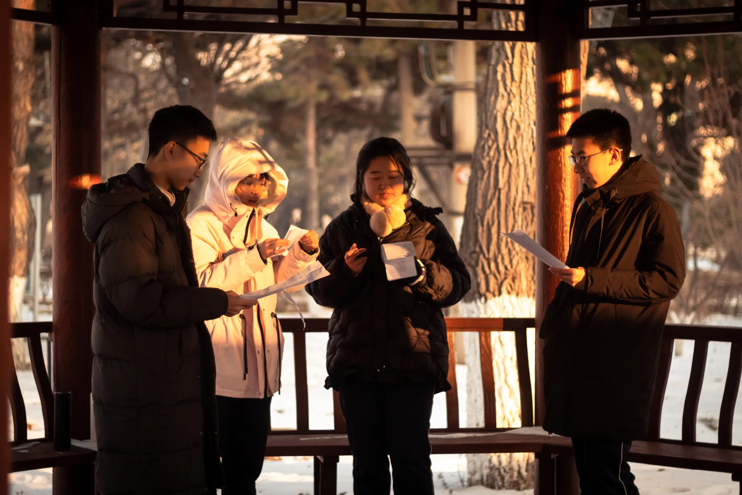 元旦联欢会前夕，四位同学在明心亭里排练节目，夕阳映在他们脸上