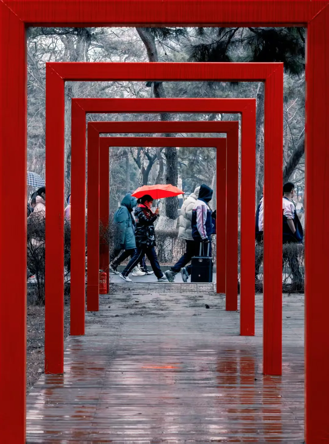 重叠红门框形成的“隧道”中，一名打红伞的同学走在落雪里