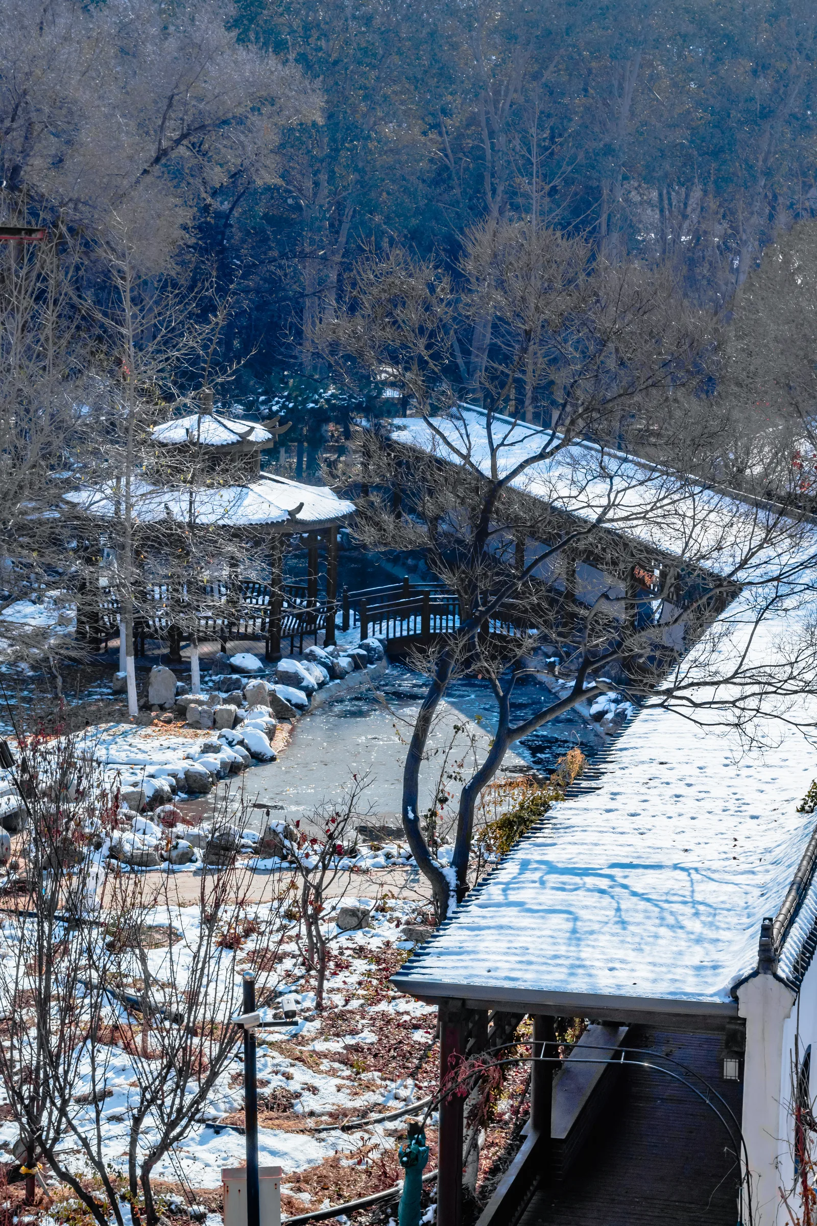 从高处看下去，庭院和屋顶都覆着积雪