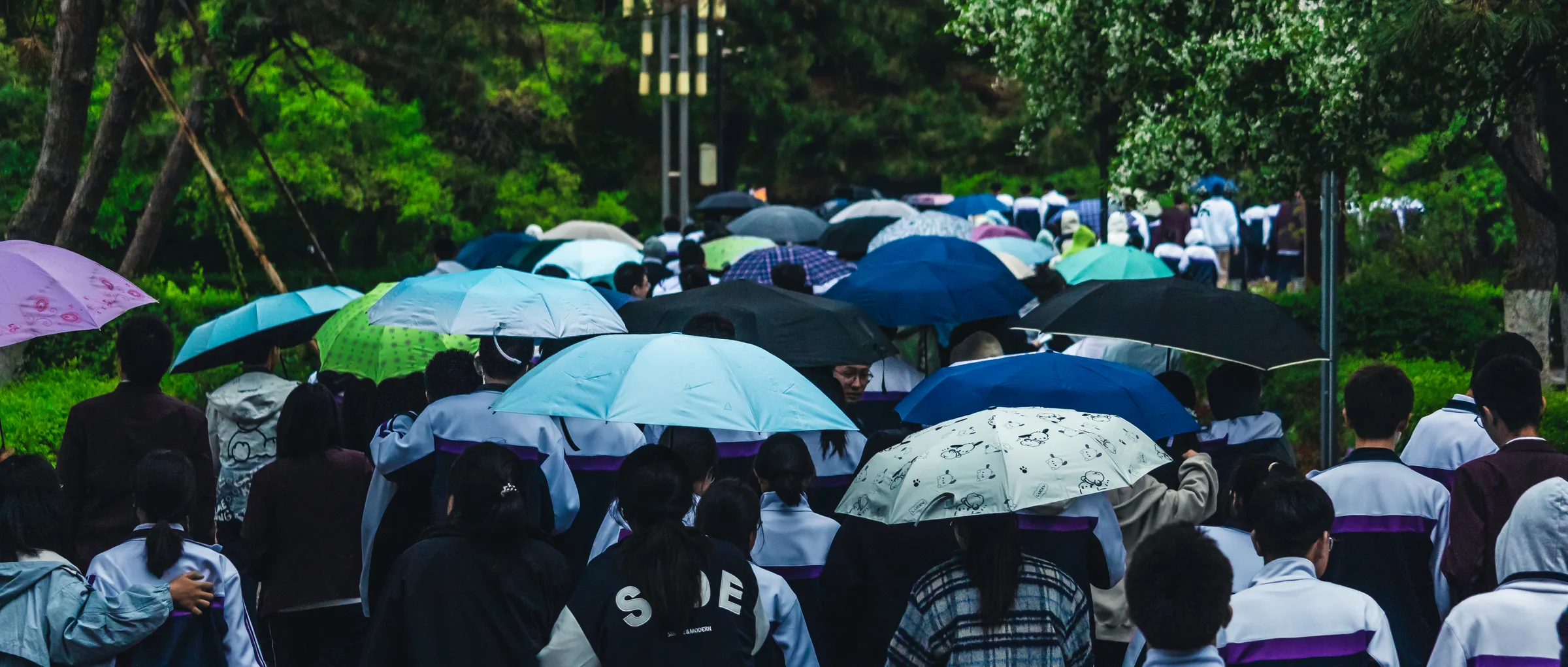 雨天里一片撑开的伞在人群上方连成一层颜色